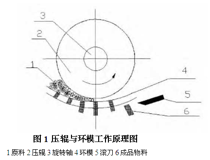 壓輥與環模工作原理圖