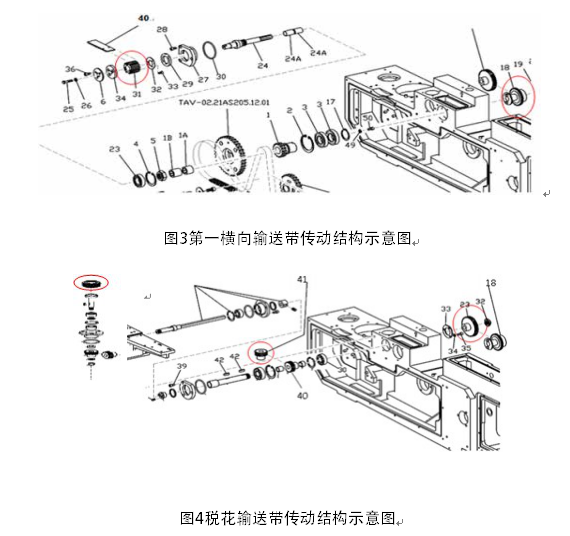 第一橫向輸送帶傳動結構示意圖和稅花輸送帶傳動結構示意圖