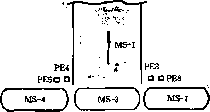 自動包裝機的碼垛機外送圖